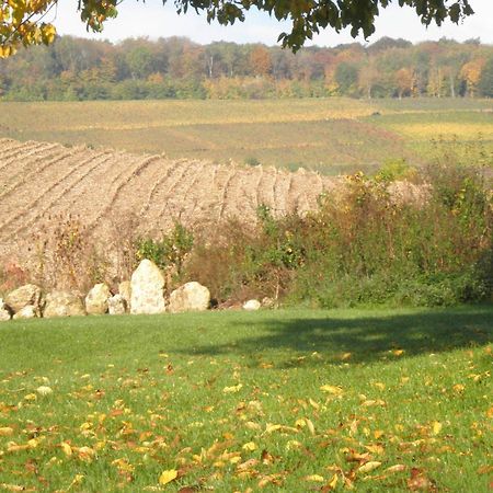 Domaine Du Moulin De L'Etang Panzió Châtillon-sur-Marne Kültér fotó