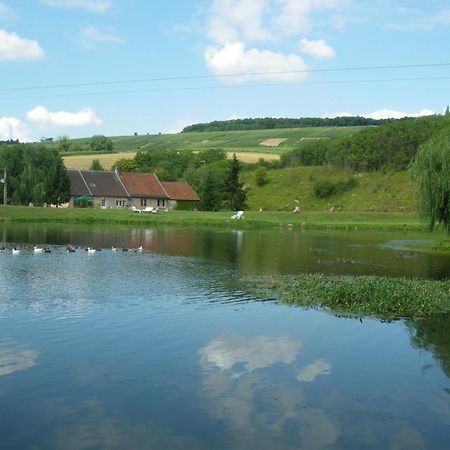 Domaine Du Moulin De L'Etang Panzió Châtillon-sur-Marne Kültér fotó