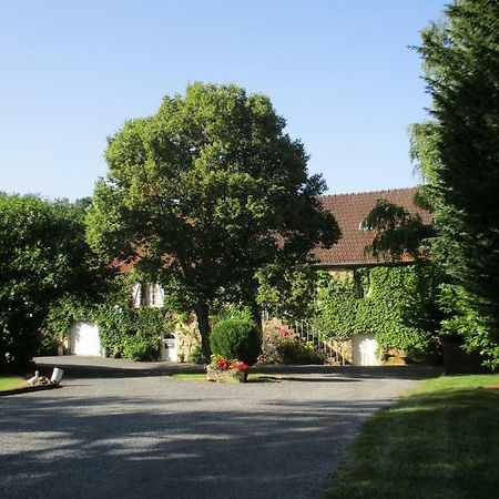 Domaine Du Moulin De L'Etang Panzió Châtillon-sur-Marne Kültér fotó