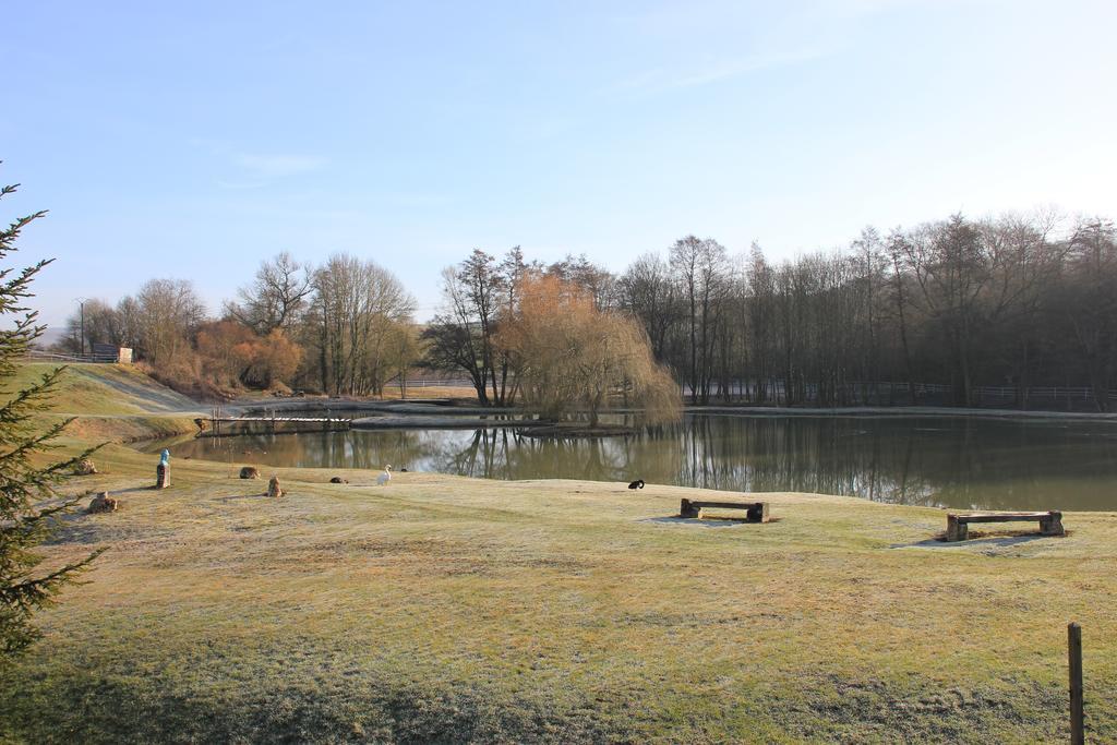 Domaine Du Moulin De L'Etang Panzió Châtillon-sur-Marne Kültér fotó