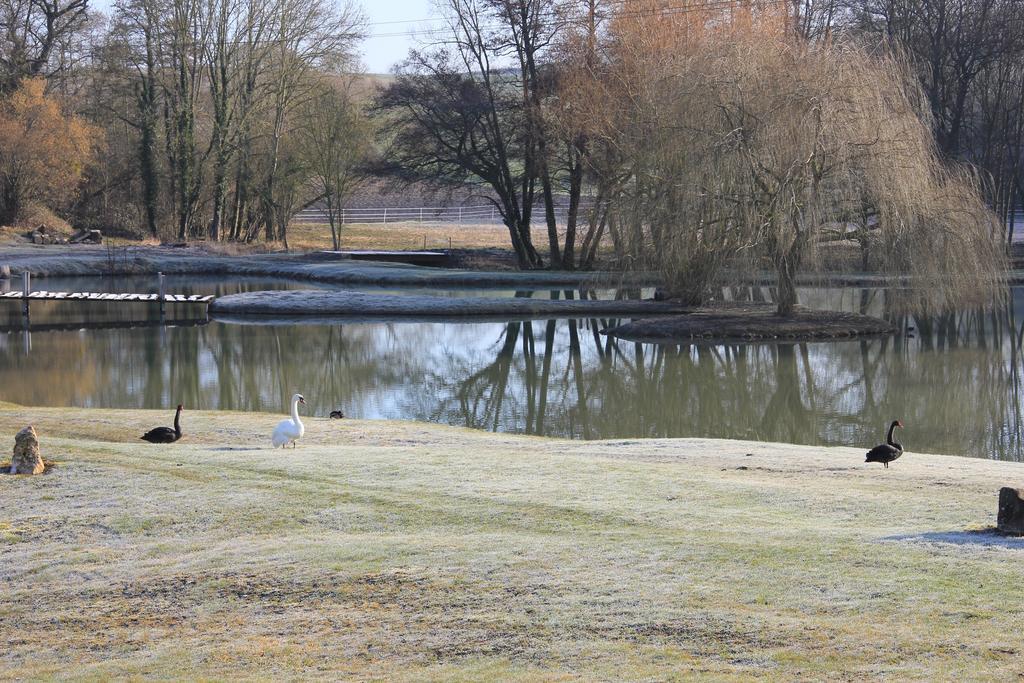 Domaine Du Moulin De L'Etang Panzió Châtillon-sur-Marne Kültér fotó