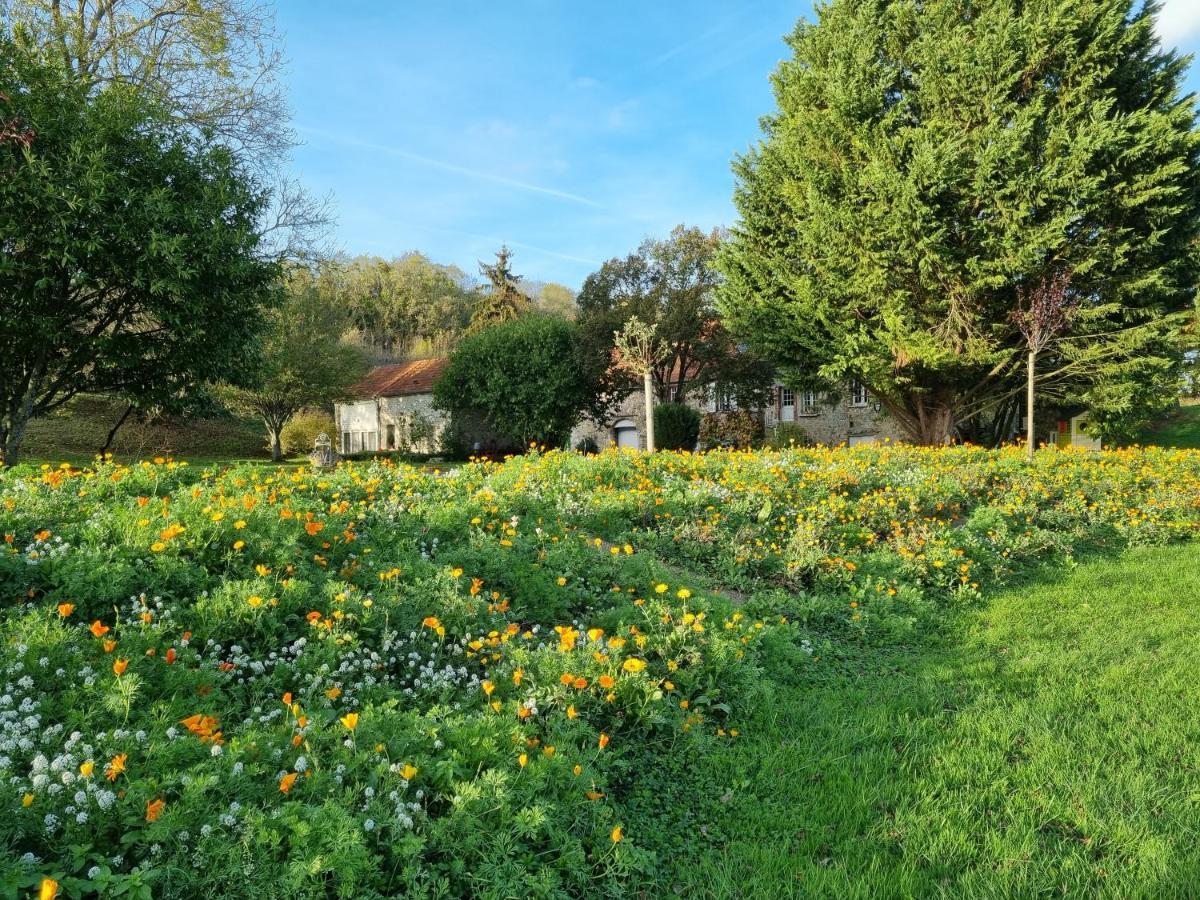 Domaine Du Moulin De L'Etang Panzió Châtillon-sur-Marne Kültér fotó