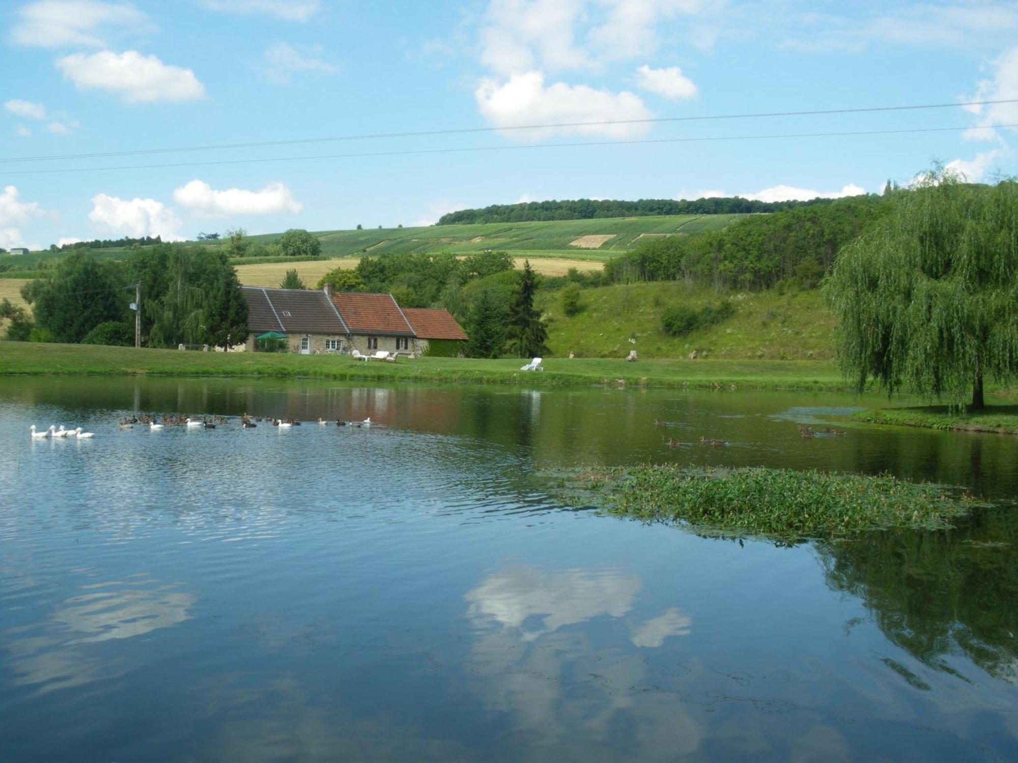 Domaine Du Moulin De L'Etang Panzió Châtillon-sur-Marne Kültér fotó