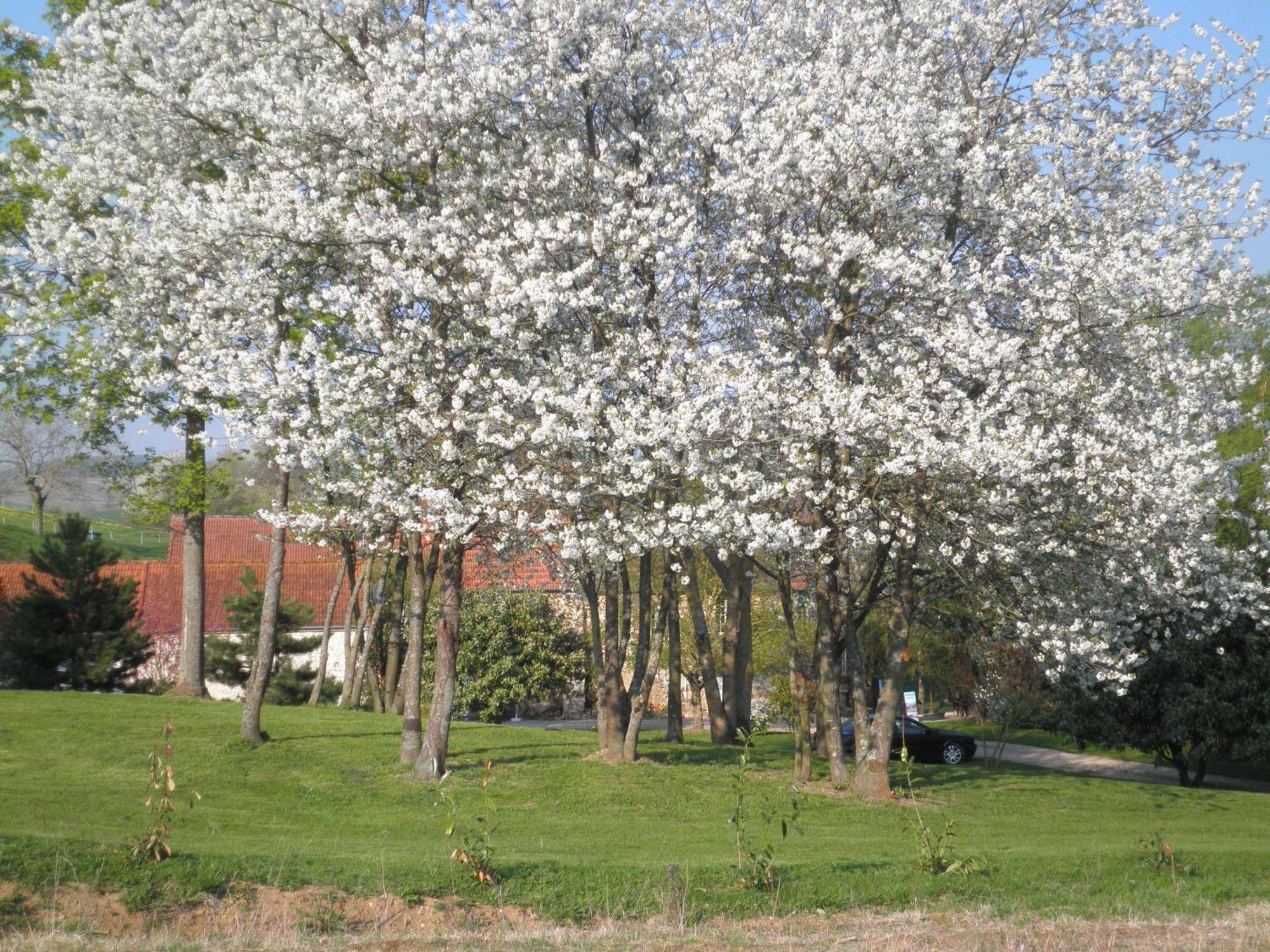 Domaine Du Moulin De L'Etang Panzió Châtillon-sur-Marne Kültér fotó