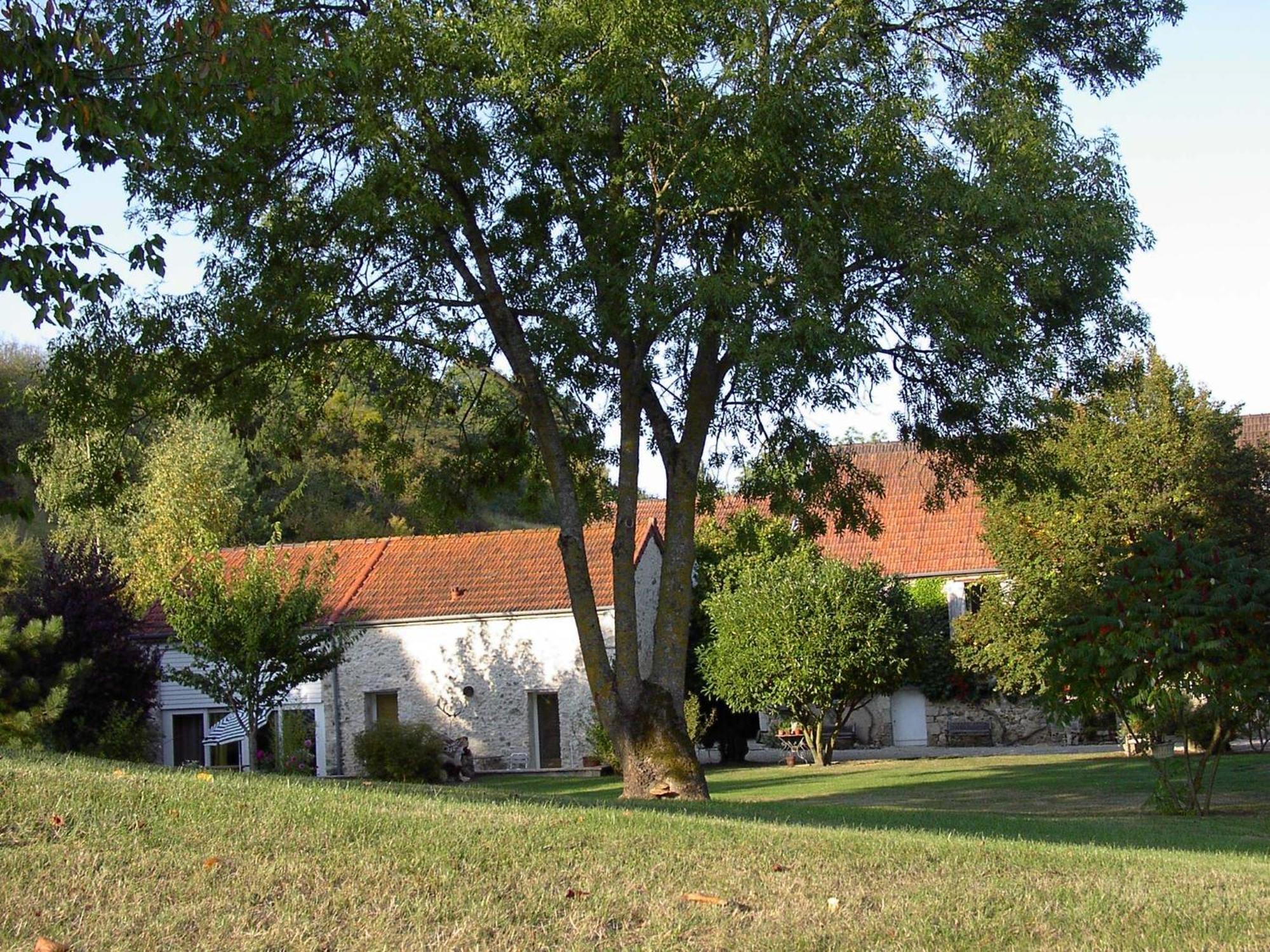 Domaine Du Moulin De L'Etang Panzió Châtillon-sur-Marne Kültér fotó