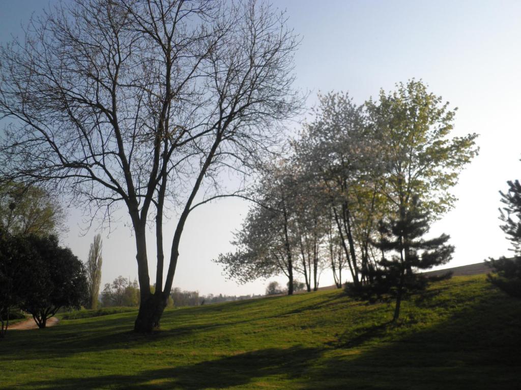 Domaine Du Moulin De L'Etang Panzió Châtillon-sur-Marne Szoba fotó