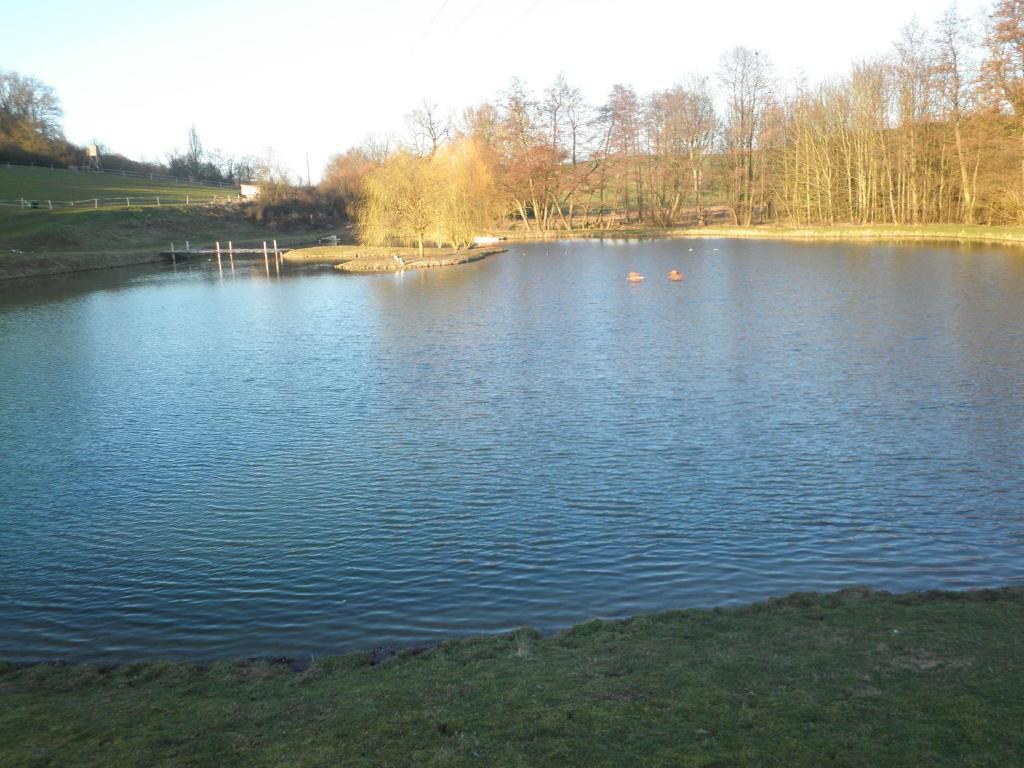 Domaine Du Moulin De L'Etang Panzió Châtillon-sur-Marne Kültér fotó