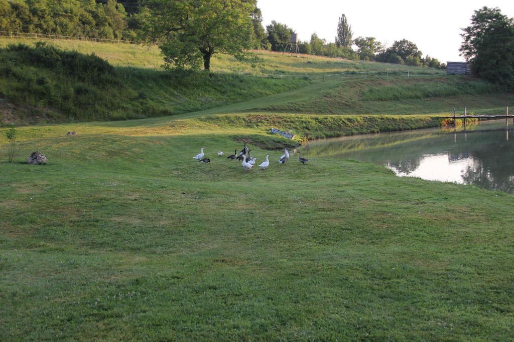 Domaine Du Moulin De L'Etang Panzió Châtillon-sur-Marne Kültér fotó