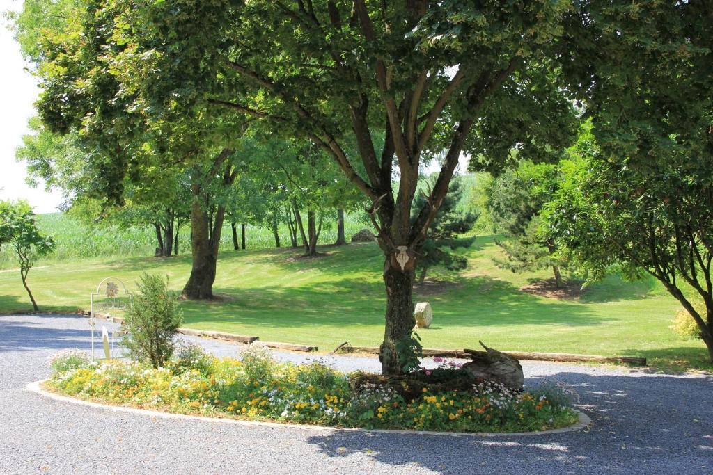 Domaine Du Moulin De L'Etang Panzió Châtillon-sur-Marne Kültér fotó