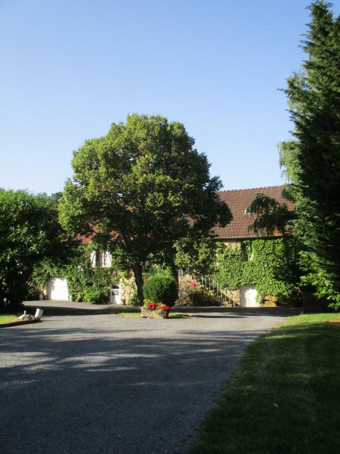 Domaine Du Moulin De L'Etang Panzió Châtillon-sur-Marne Kültér fotó